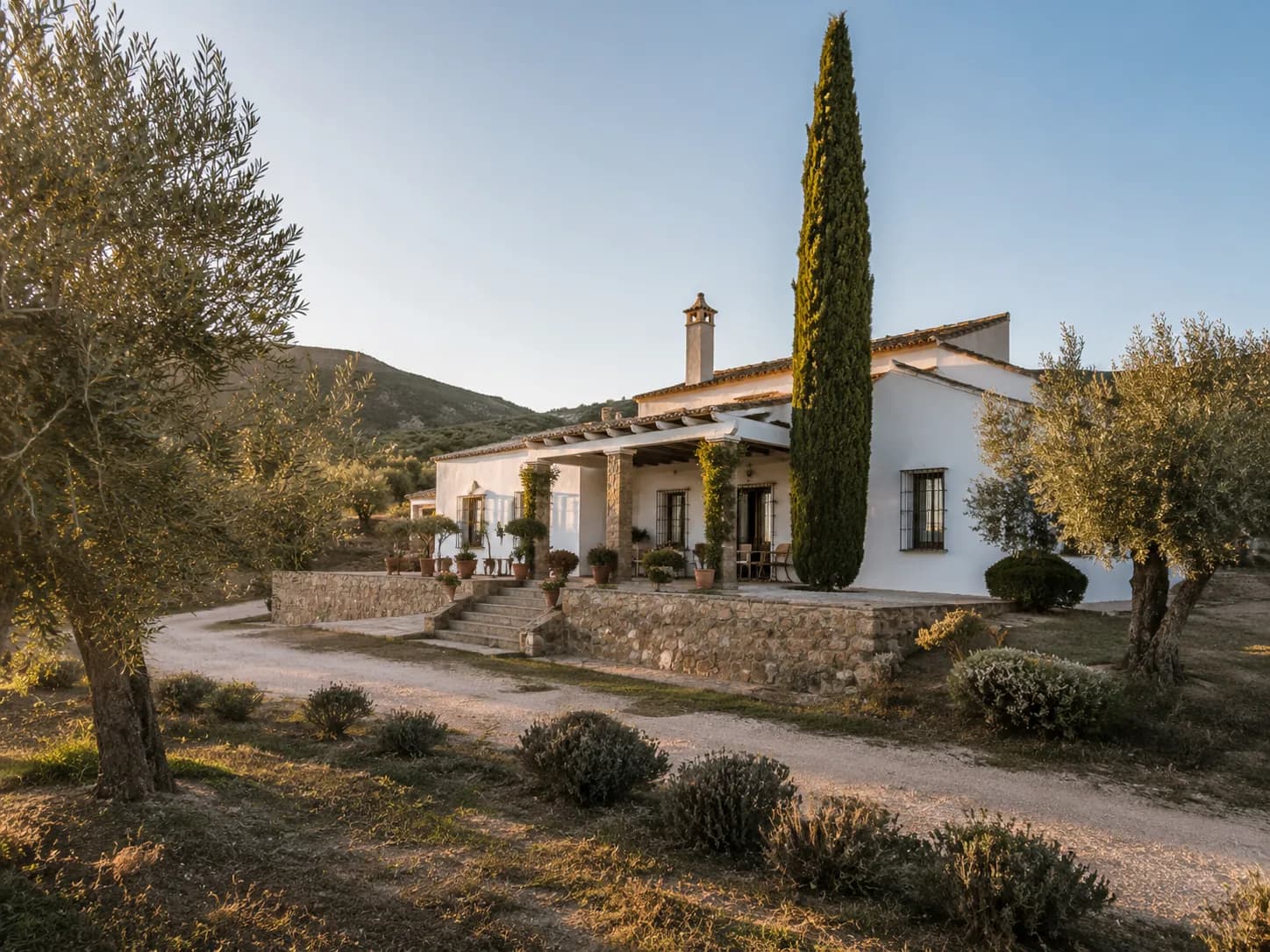 ZONA ALCAMPO — imagen 1